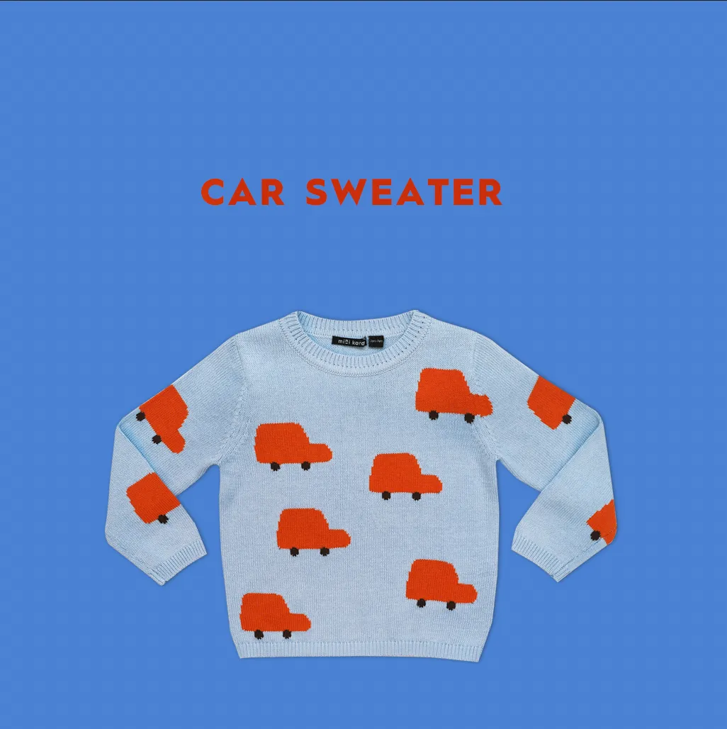 Car Sweater