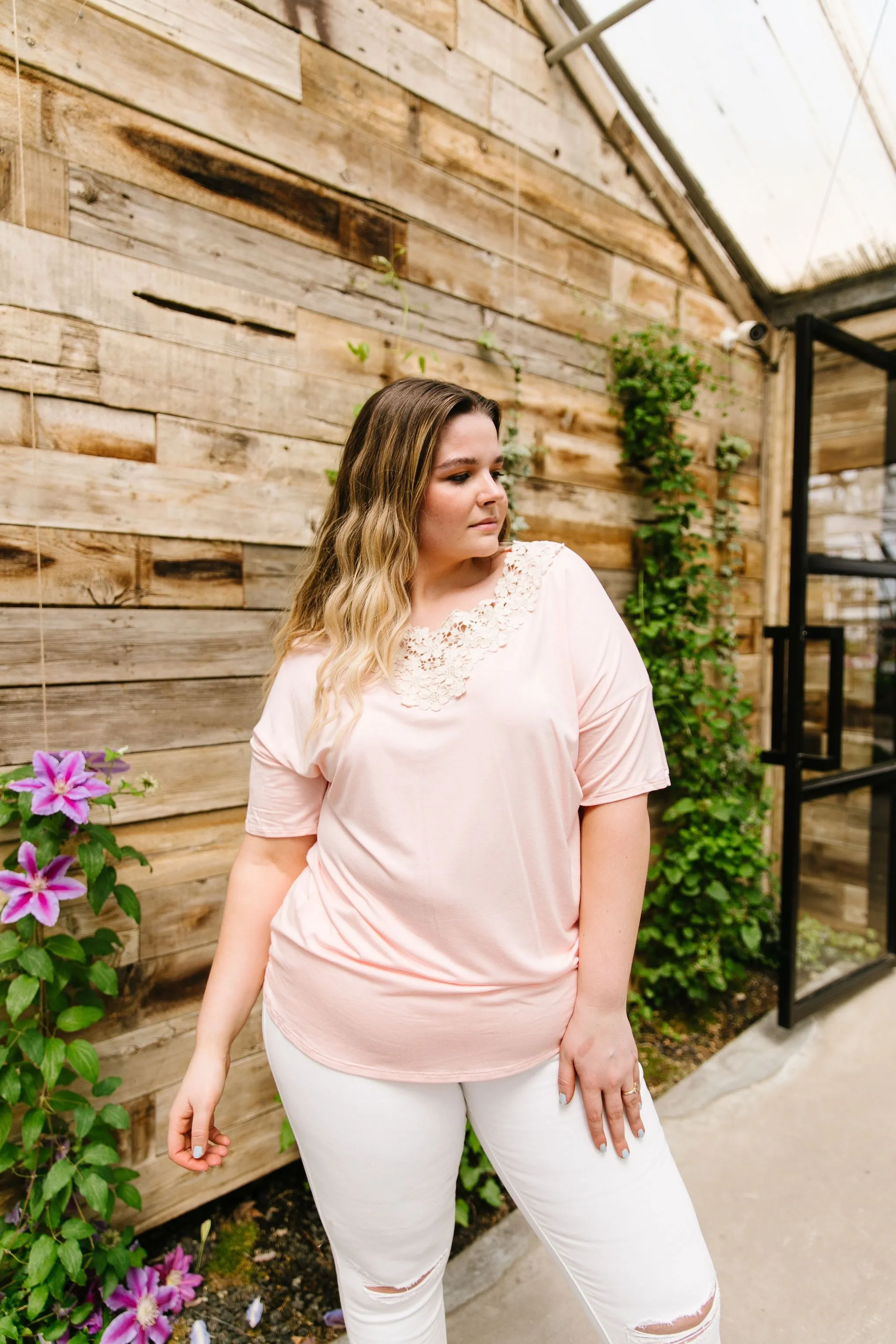 Lace Trimmed Blush V-Neck