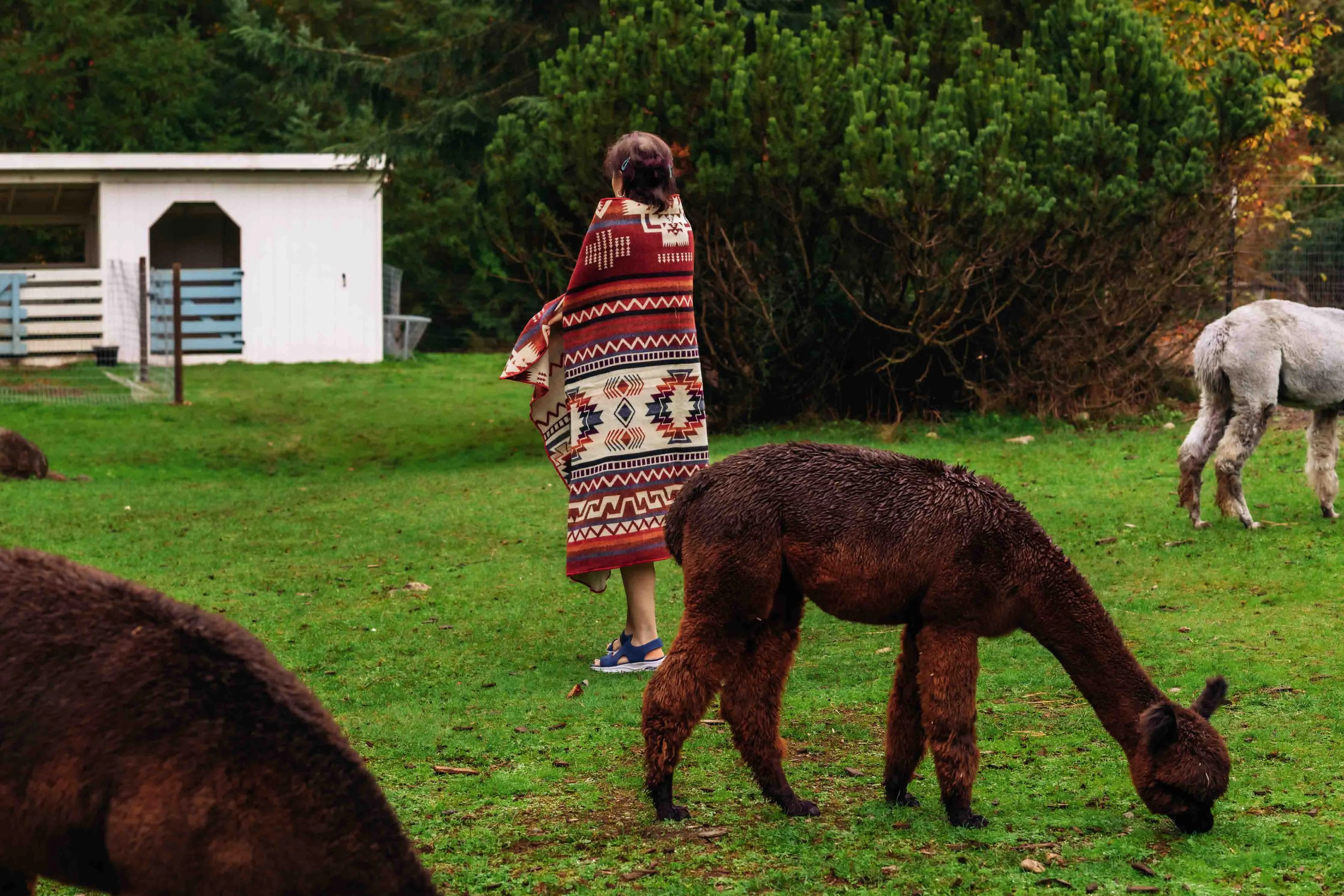 Machu Pichu - Rojo - Alpaca Wool Blanket - Enchanted Farms