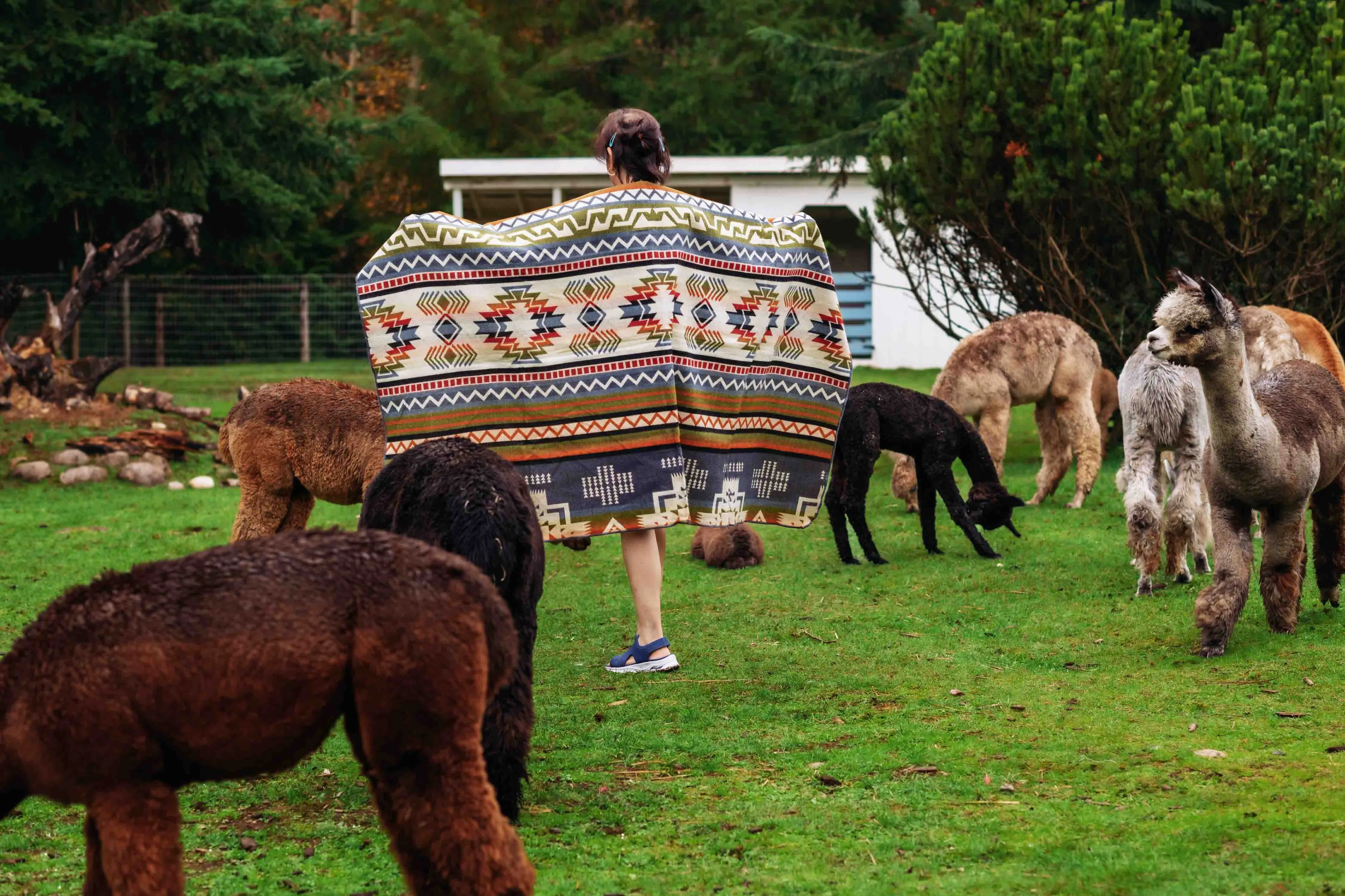 Machu Pichu - Winter - Alpaca Wool Blanket - Enchanted Farms